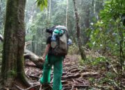 Tanda-Tanda Suami Mengkhianati di Ranah Maya: Lensa Realitas Daring Tanda-Tanda Suami Mengkhianati di Ranah Maya: Lensa Realitas Daring