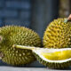 Rasakan Manisnya Durian Bersama Keluarga dalam Mimpi