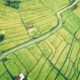 Rahasia Meraih Rezeki dari Whaff: Siasat Ampuh Mendatangkan Rupiah!