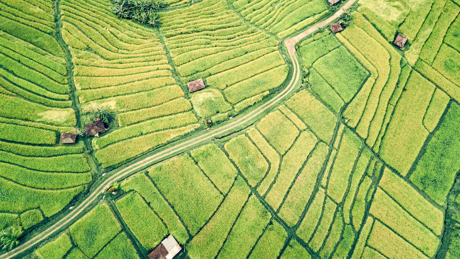 Rahasia Meraih Rezeki dari Whaff: Siasat Ampuh Mendatangkan Rupiah!