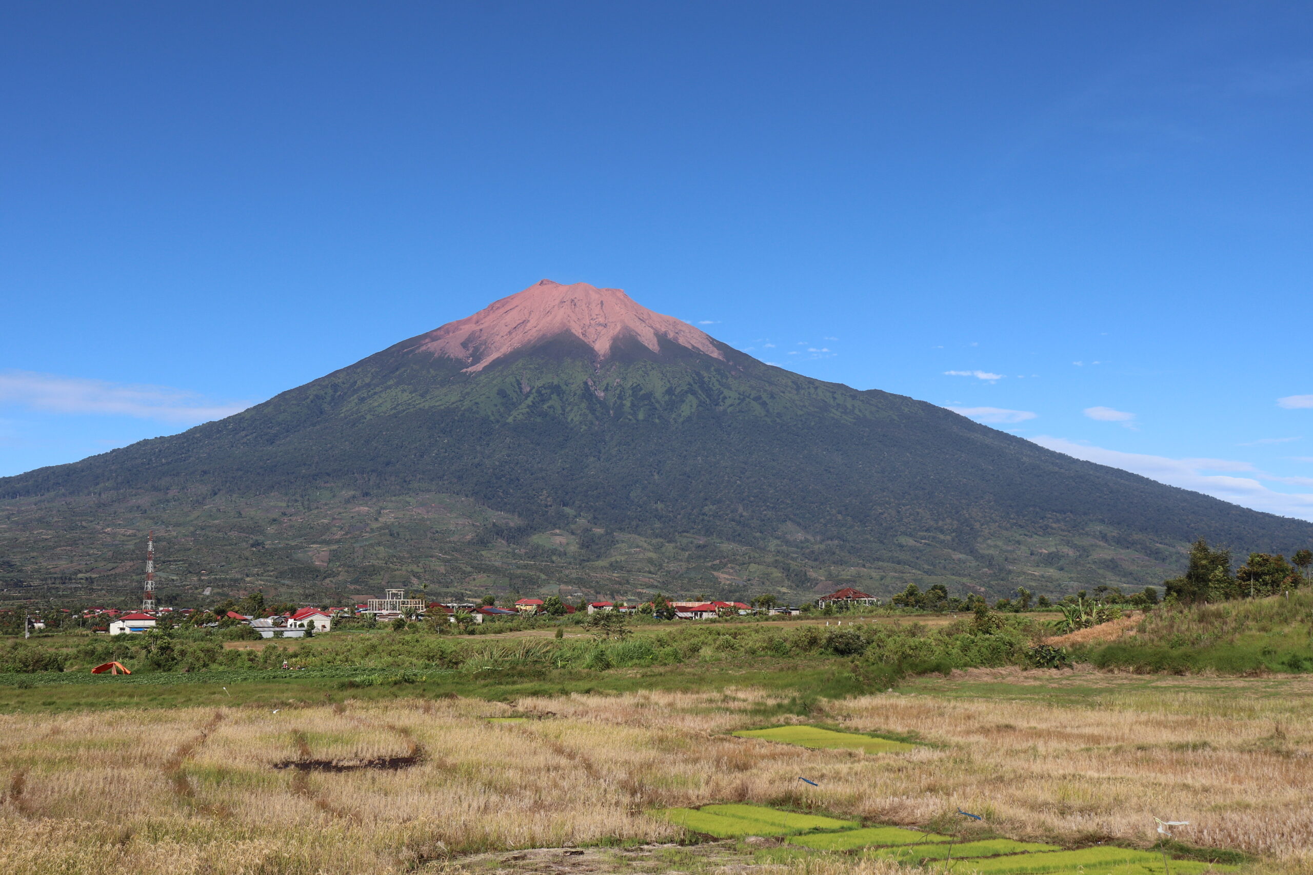 Gelora keindahan: Menghijau nan Eloknya Gambar Gunung
