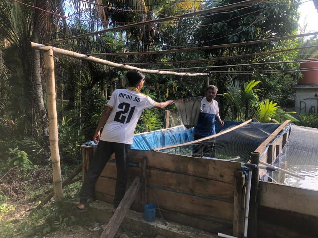 Permainan Simulasi Menarik untuk Mengasah ‌Kemampuan Peternakan Lele Anda